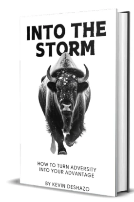 Into the Storm book